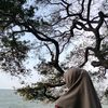 ymaf26