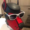 pupzed1