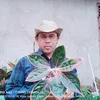 bangzein003