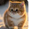 user968944417
