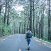 dodek_7