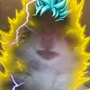 gdguest