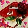 mohamedaminebelga2