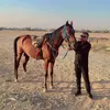 kurdstan452
