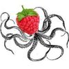 raspberrykraken