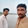 484safdar