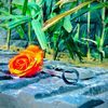 pindawale11122