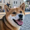 fifineklive