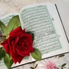.nasaim