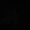alexsuareez_