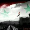 wael_ali5
