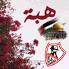 hebafouad37