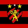 alvesjose7919