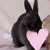 jo_nny2820