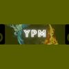 y_p_m85