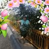 oksana.s276