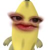 nnddyy11