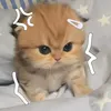 rjcawan16