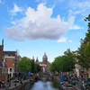 mar_dcac