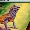 basking_rootwalla