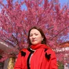 hoangkimdinh