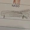 fantanico0