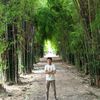 user191904050519