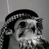 alhmrnee