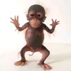 _love_shrekkkk
