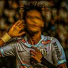 santista.vibs