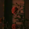 ur_caro_
