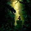 .leroidelajungle