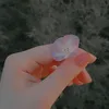 cil_zl