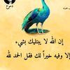 umalqeer8