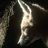 revolution_enemy