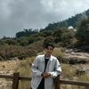 fildin_07