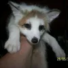 skylar_sksk