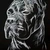 asenyankov02