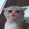 nadosha_sa3d