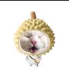 asfiirn