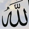 mubeenhaider274