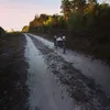 kobrin_rxvod