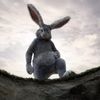 rodger_rabbit_hole