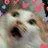 the_momo_zone