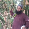 kazimali942