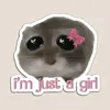 lo__le11