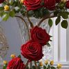 rabbispringflower8