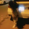 omar_elarwash