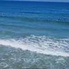 ixel_596
