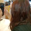 _xlestari